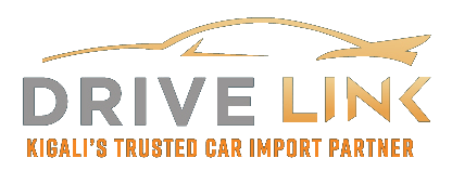 DriveLink logo